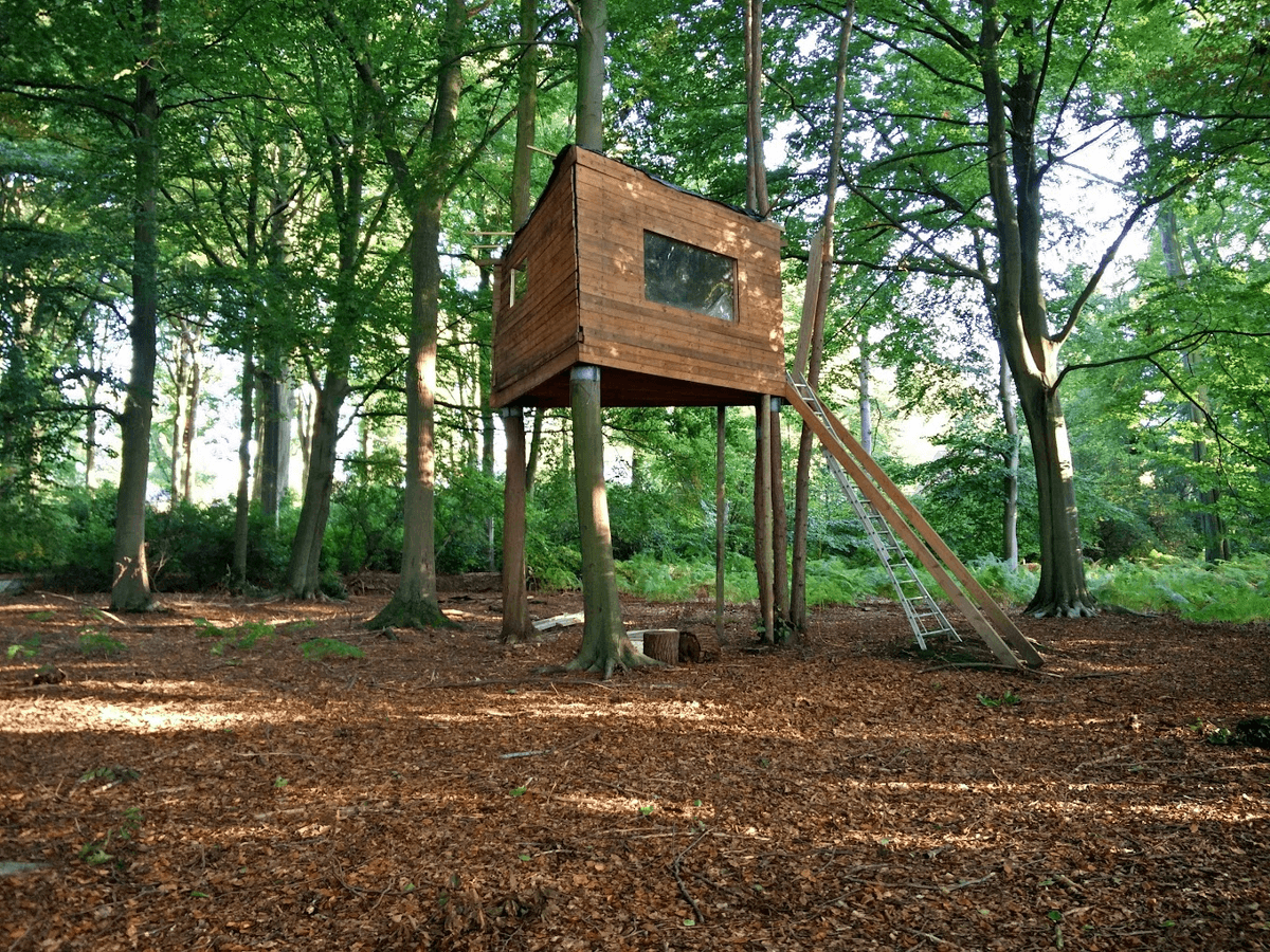 The treehouse